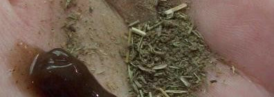 Мой долгий путь к красивой коже...(+страшные фото)