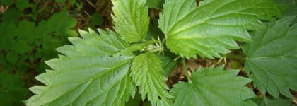 Vichy Dercos-моя маленькая победа!