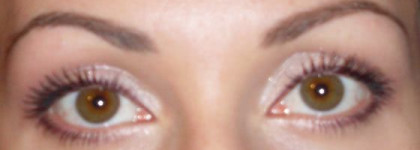 Dior 5-Colour Eyeshadow - Stylish Move 970