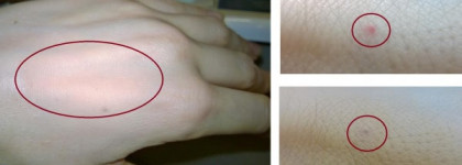 Гоночный болид среди пудр - Serge Lutens Teint si fin  Found de teint compact  Compact foundation   B40