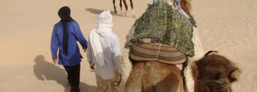 Парфюмерная вода  Dolce&Gabbana Velvet Desert Oud. Аромат приключений