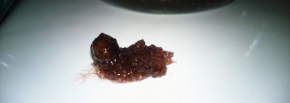 Скраб и котики. Natura Siberica - Пилинг для тела - Колдовские ягоды- Нежность кожи