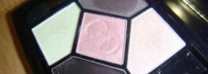 Мой ледяной баклажан или Dior 808 Pink Designer