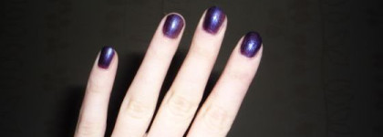 покупки ноября