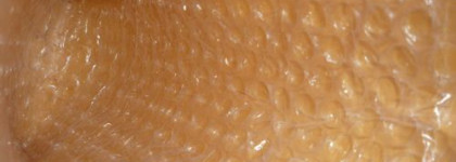 Моя очередная авантюра (покупки  М.А.С. и не только  М.А.С.)