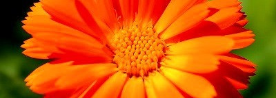 2 часть ухода за кожей(что не требует смывания))