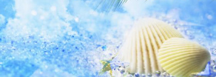 Вы все ещё не верите?Тогда мы идем к вам