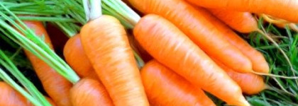 Защита моих губ