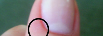 CND-я в восторге от этой фирмы