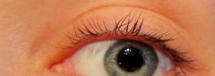 Maxfactor молодец