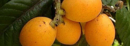 Missoni Giallo, или экономим на вязаной одежде