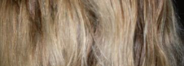 Alfaparf hydratexture Heat protector - Средство для термозащиты волос