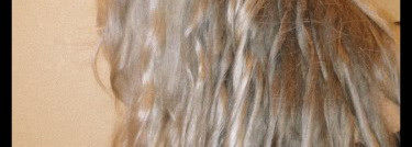 Сыворотка для кожи головы Kerastase Initialiste Advanced scalp and hair concentrate