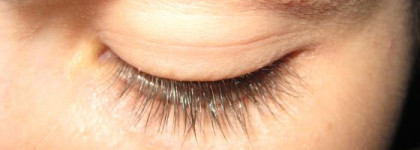 Моя любимая бюджетная Тушь Max Factor Masterpiece