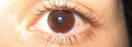 Моя любимая бюджетная Тушь Max Factor Masterpiece