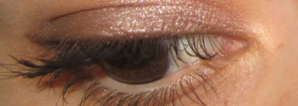 Тени для век Max Factor burnt bark