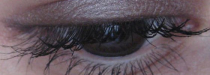 Тени для век Max Factor burnt bark