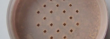 Рассыпчатая крем-пудра Estee Lauder Nutritious