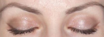 Вот чем под Новый год пополнилась моя косметичка: тени Dior 5 Couleurs Designer и румяна Guerlain Blush 4 Eclats