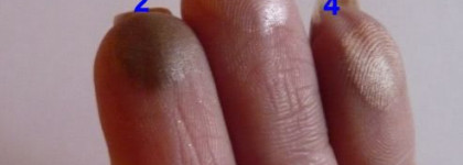 Вот чем под Новый год пополнилась моя косметичка: тени Dior 5 Couleurs Designer и румяна Guerlain Blush 4 Eclats