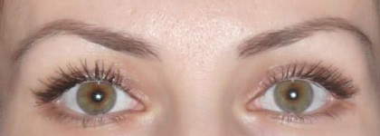 Вот чем под Новый год пополнилась моя косметичка: тени Dior 5 Couleurs Designer и румяна Guerlain Blush 4 Eclats