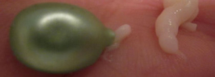 Balea. Уход за лицом. Концентраты