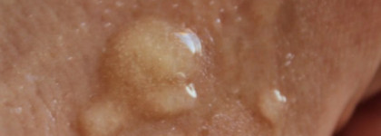 И мороз моим рукам не страшен