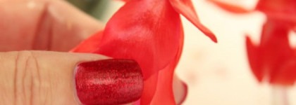 Мой прекрасный декабрист - China Glaze Nail Lacquer # 70577 Ruby Pumps