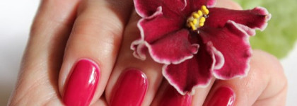 Последний техасец в моей коллекции - OPI Houston We Have A Purple HL Т18