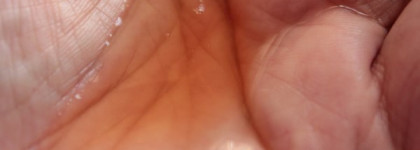 Phyto Densifying treatment serum и Phyto Densifying treatment shampoo. Мое полное разочарование