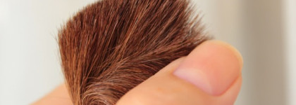 Clinique в моей косметичке. Часть третья - Clinique Blushing Blush Powder Blush в оттенках # 114 iced lotus  и # 115 smoldering plum