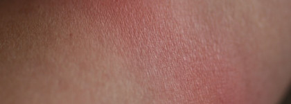 Guerlain Madame Rougit 4-colours blush из осенней коллекции 2013 года или щеки с мороза