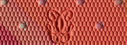Guerlain Madame Rougit 4-colours blush из осенней коллекции 2013 года или щеки с мороза