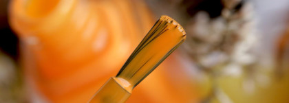 Чисто осеннее настроение с Dior Vernis # 536 Orange Sienna