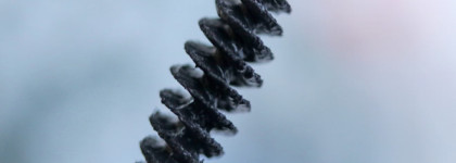 Что не так со стойкой тушью для ресниц Kanebo Sensai Mascara 38℃