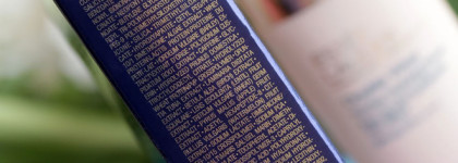 Праймер Estee Lauder Double Wear Flawless Hydrating Primer SPF 45/PA++++ и три примера макияжа с ним