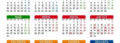 Как пережить серьезный стресс и при этом не облысеть. Мой опыт борьбы с выпадением волос
