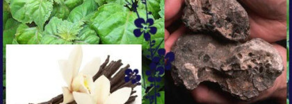 Полуночный Яд Midnight Poison Dior