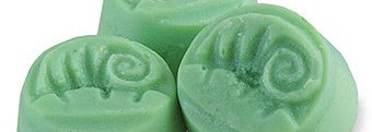 Шампуни и кондиционер от Lush