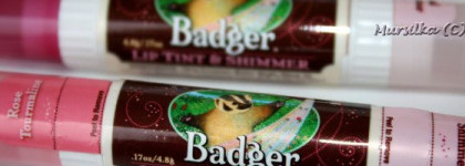 Badger Company: в компании с барсуками