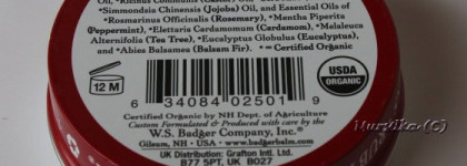 Badger Company: в компании с барсуками