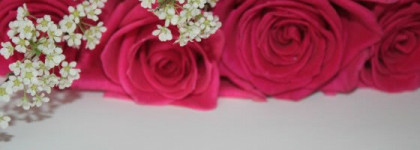 Estee Lauder Art of Lips Chic Pinks - Набор для губ (помада, 2 блеска и карандаш)