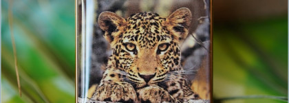 Chantecaille Luminescent Eye Shade Leopard Wild Bronze