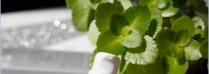 Philosophy Art Dermatology Liquid Silk Make up Crystal Foundation + Peptide - кожа дышит