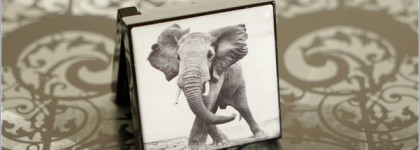 Chantecaille Luminescent Eye Shade Elephant серый тауп