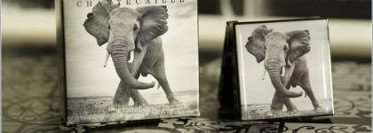 Chantecaille Luminescent Eye Shade Elephant серый тауп