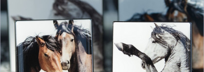 Chantecaille Luminescent Eye Shade Pinto - тени с единственным недостатком