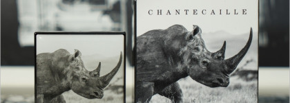 Chantecaille Luminescent Eye Shade #Rhinoceros