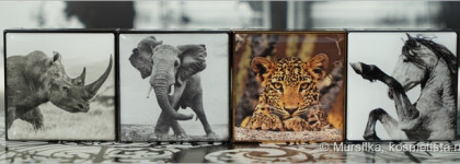 Chantecaille Luminescent Eye Shade #Rhinoceros