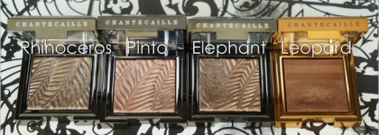 Chantecaille Luminescent Eye Shade #Rhinoceros